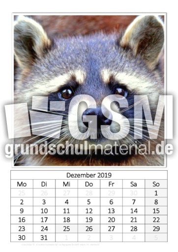 Dezember_Waschbär.pdf